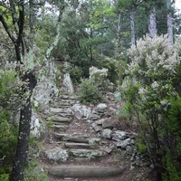 Photo de france - La randonnée du Mont Caroux